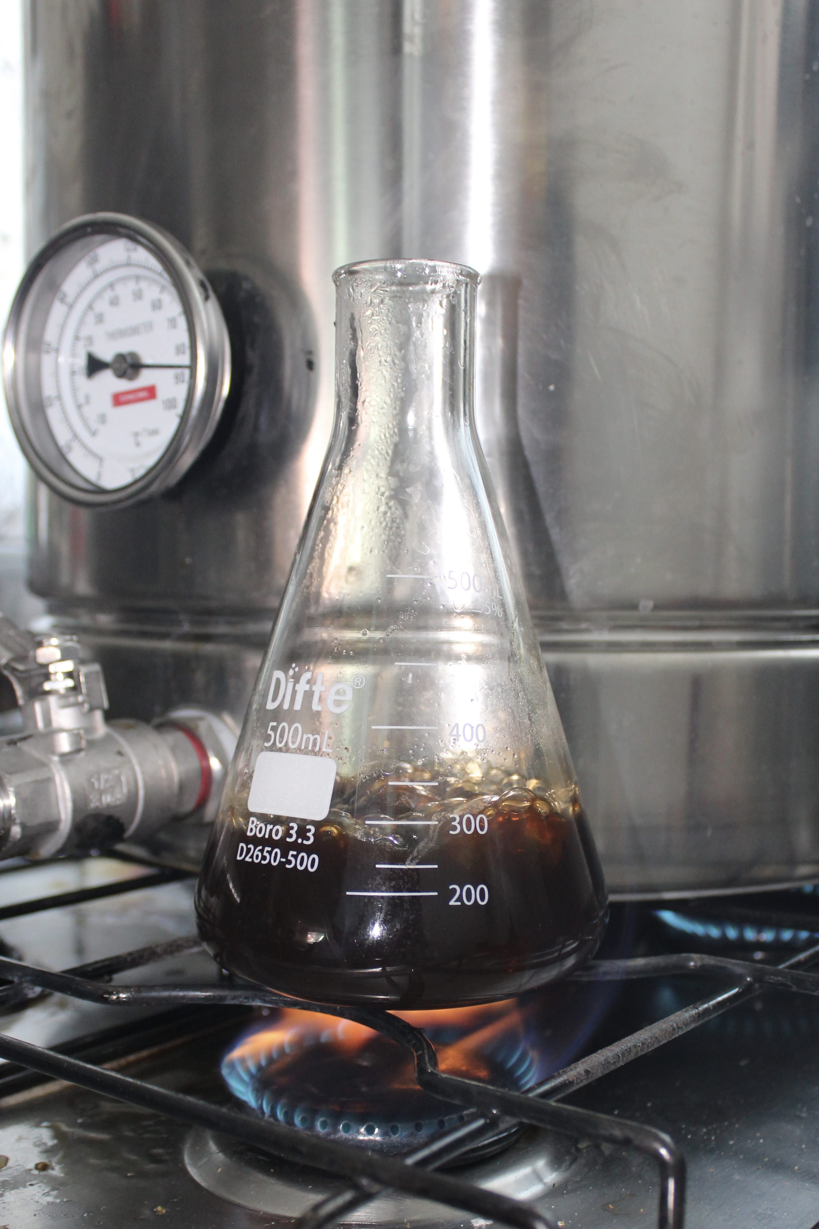 Matraz Erlenmeyer con mosto