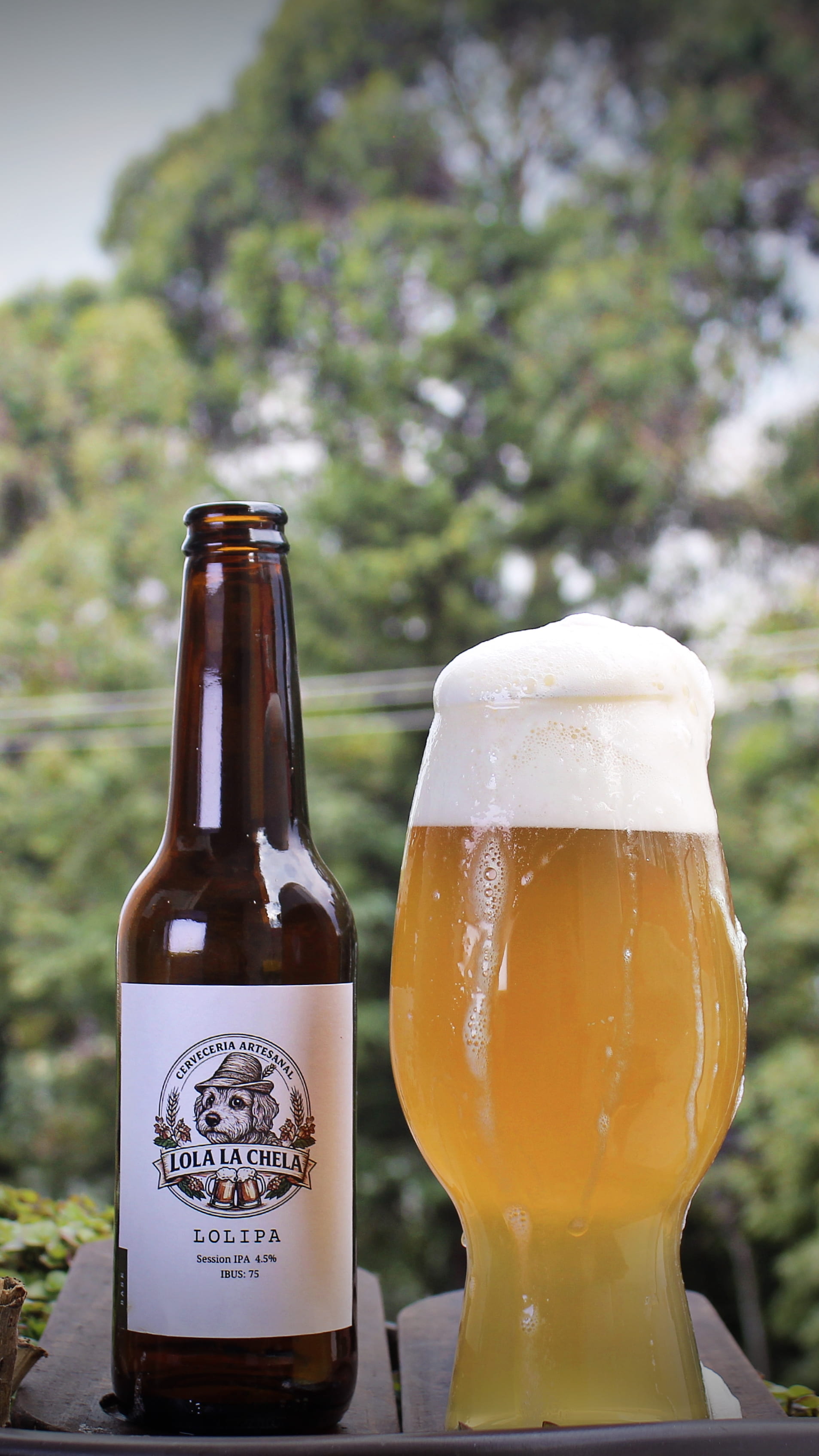 LolIPA - Cerveza artesanal