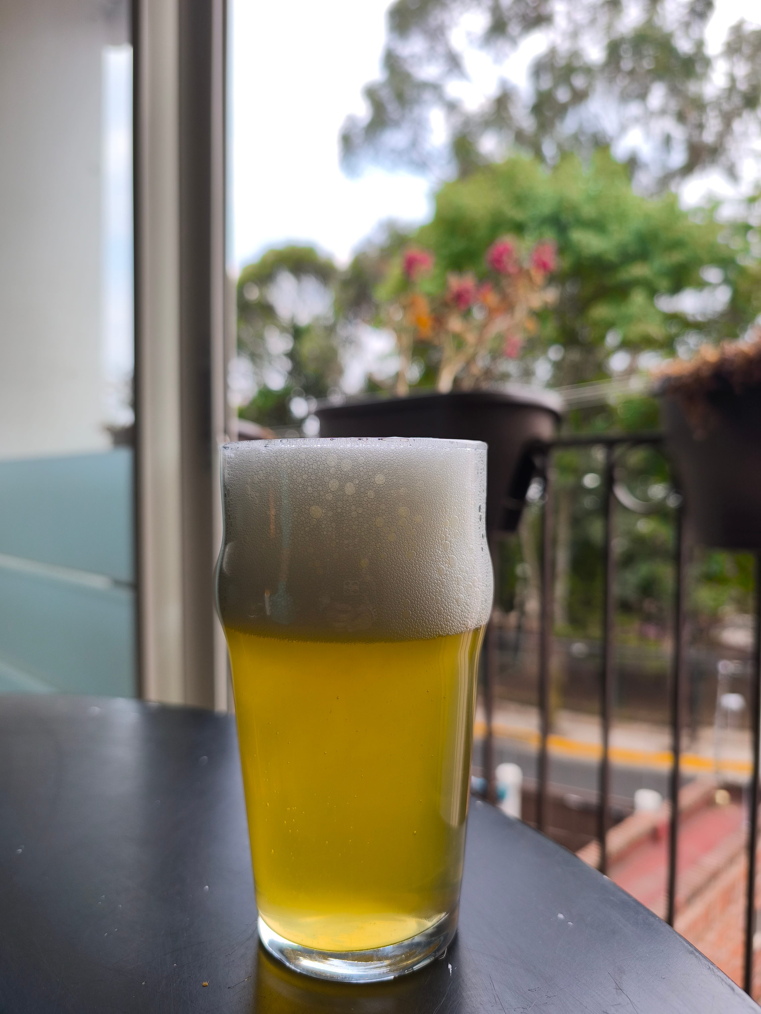 SMaSH IPA - Cerveza artesanal