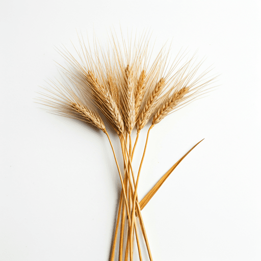 Patrón de trigo